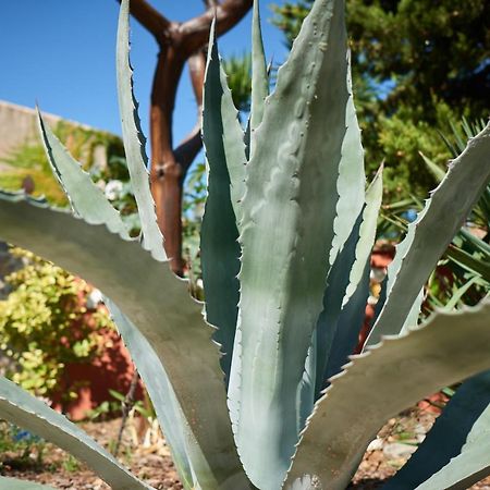 Appartamento Jardin De Palme La Palme Esterno foto