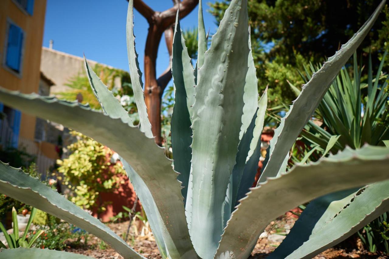 Appartamento Jardin De Palme La Palme Esterno foto