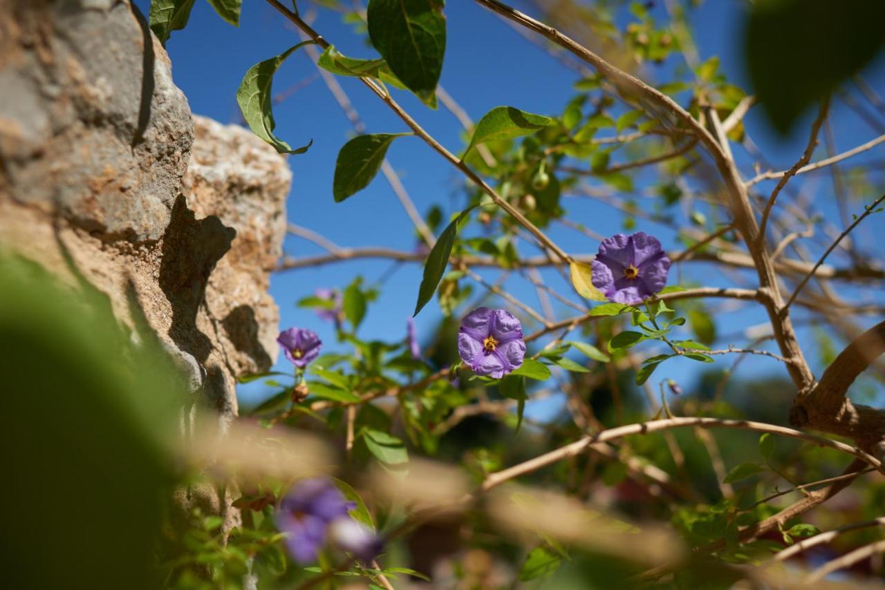 Appartamento Jardin De Palme La Palme Esterno foto